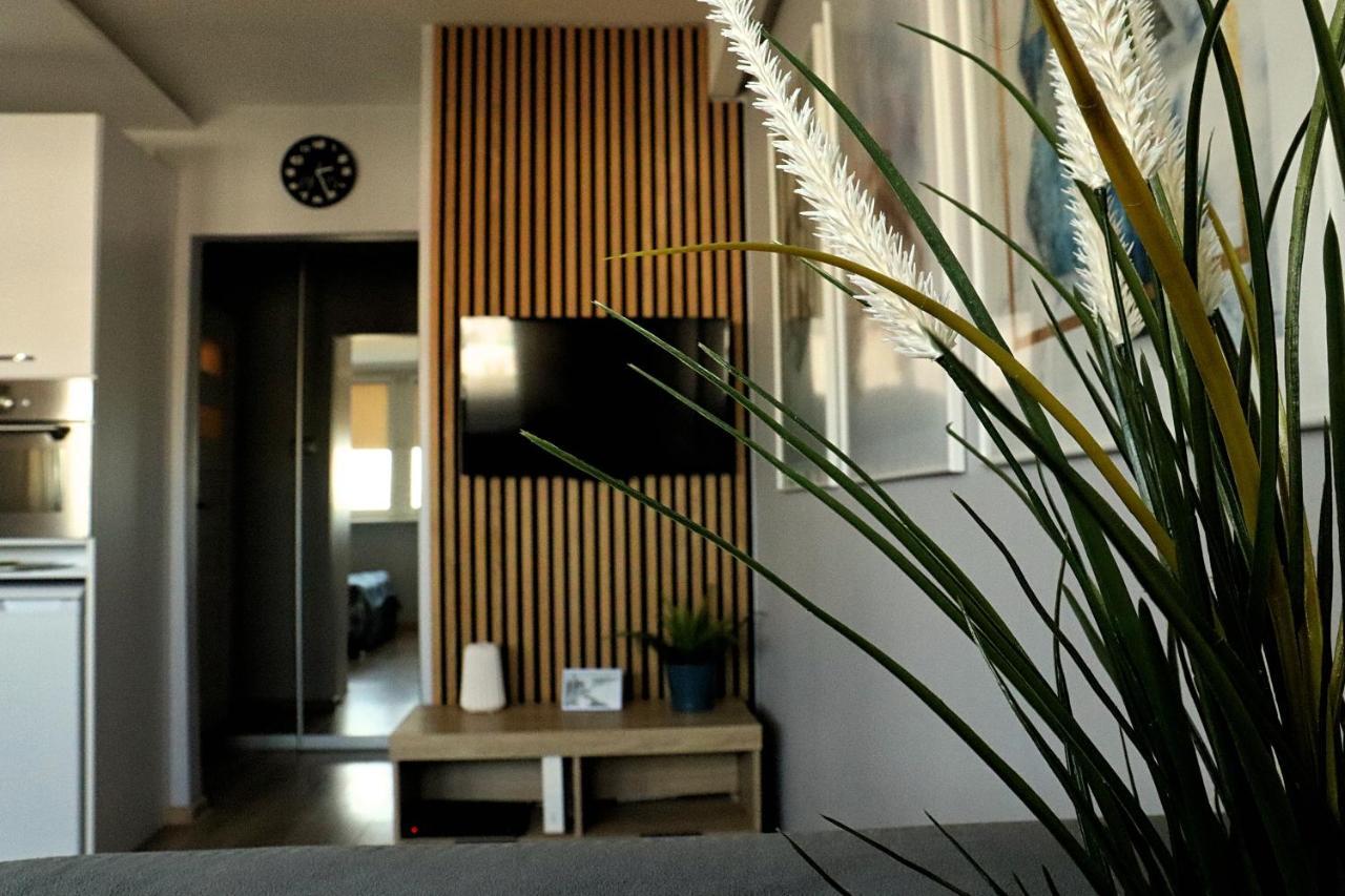 Apartament 8 Pietro Al Wyzwolenia ชเตชชิน ภายนอก รูปภาพ